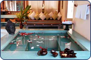 SPA как способ борьбы с оттоком финансовых средств в условиях кризиса